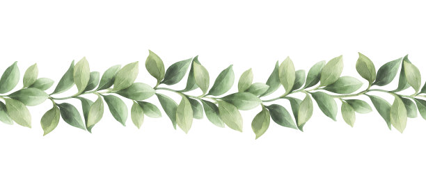 水彩边框与柠檬叶。图片下载