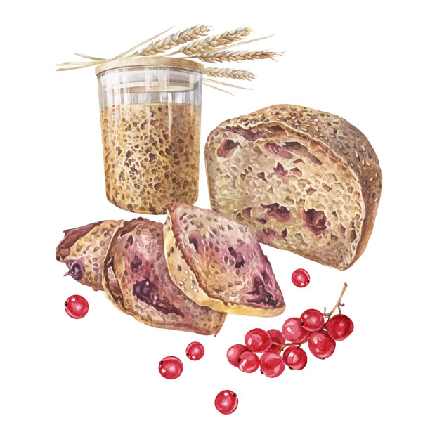 水彩风格的酸面包，搭配浆果和麦穗，背景为白色。适合家庭自制食品和餐点的自然产品。厨房插图。黑麦或小麦糕点。包装或壁纸。图片下载