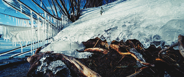 融化的冰块和冰柱躺在海岸上图片下载