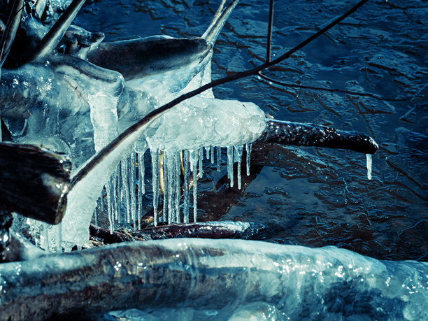 融化的冰块和冰柱躺在海岸上图片下载