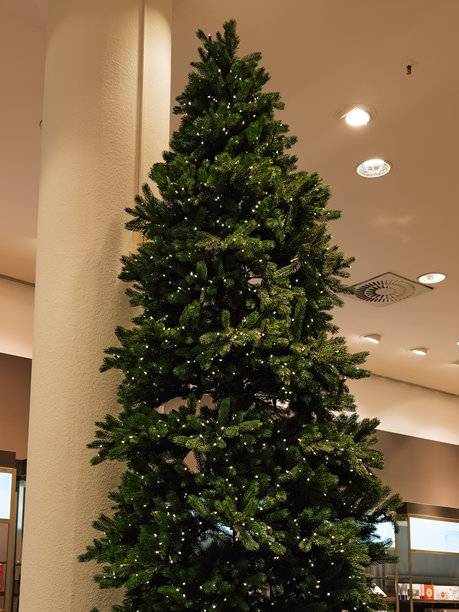 圣诞市场的照片，商店里出售新年树。温馨的家庭氛围中有花环和灯光。节日和庆祝活动的购物概念摄影。图片下载