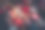 从上方拍摄的照片，展示了一家人——孙子、孙女、祖母和祖父在家中躺着，手牵手享受新年的温馨时光。图片下载