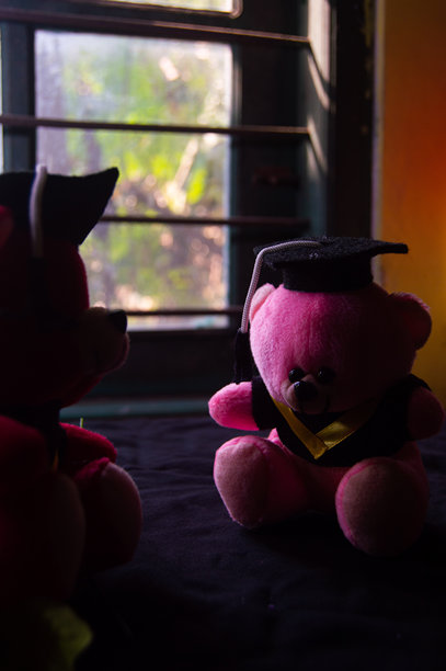 黑色背景上的毕业娃娃图片下载