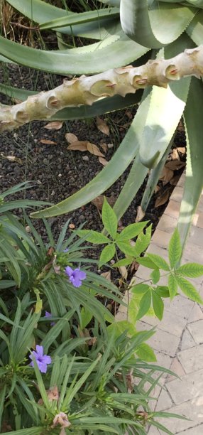 自然的几何形状图片下载