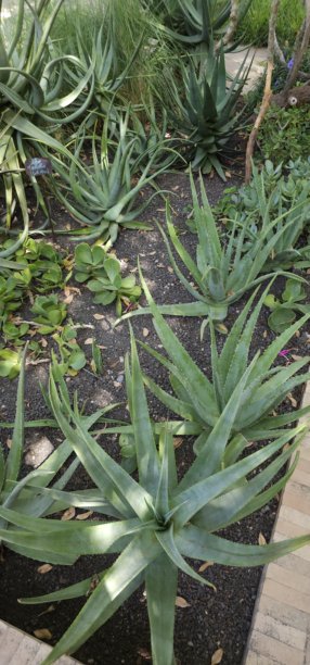 自然的几何形状图片下载