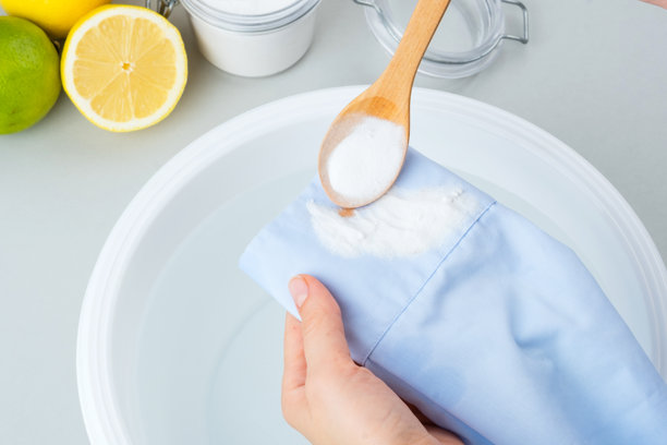 天然成分用于绿色清洁替代品。图片下载