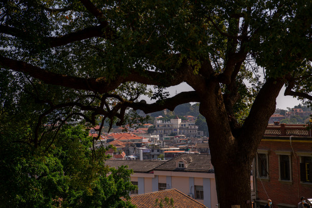 中国厦门鼓浪屿的全景建筑与城市风景图片下载