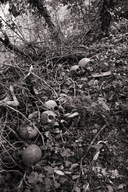 墓地上的骷髅图片下载