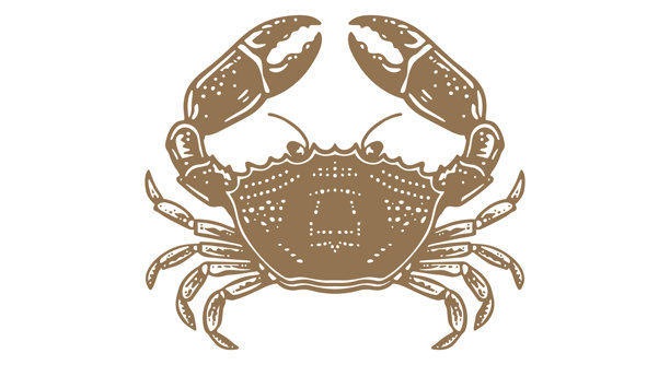 螃蟹，海鲜，素描。复古印刷图片下载
