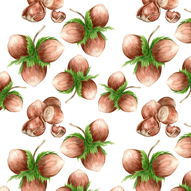 白色背景上的无缝图案。逼真的水彩插图，描绘了榛子，适合用于包装、卡片和纺织品的装饰。图片下载