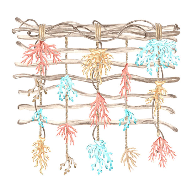 水下五彩斑斓的珊瑚挂在藤蔓上。手绘水彩插图，独立展示。地中海风格的家居装饰。明信片、贴纸、商店橱窗和室内设计的剪贴画。图片下载