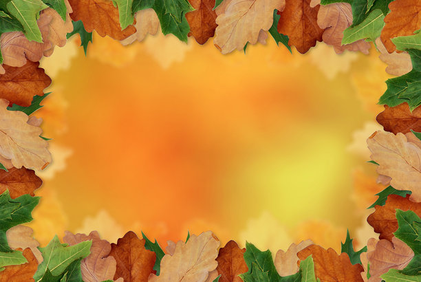 秋季背景，橙色和黄色模糊背景上的真实叶子。秋天背景。图片下载