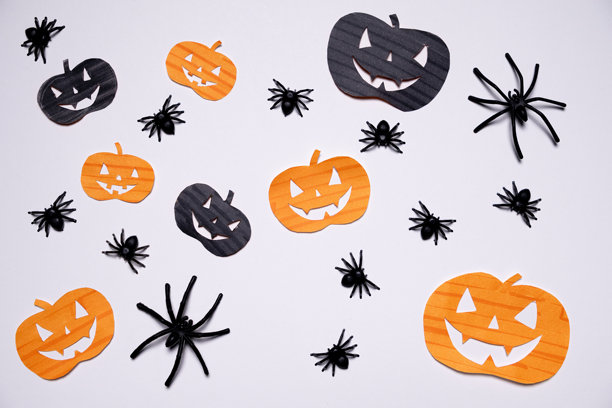 南瓜，白色背景上的蜘蛛。万圣节背景和演示素材图片下载