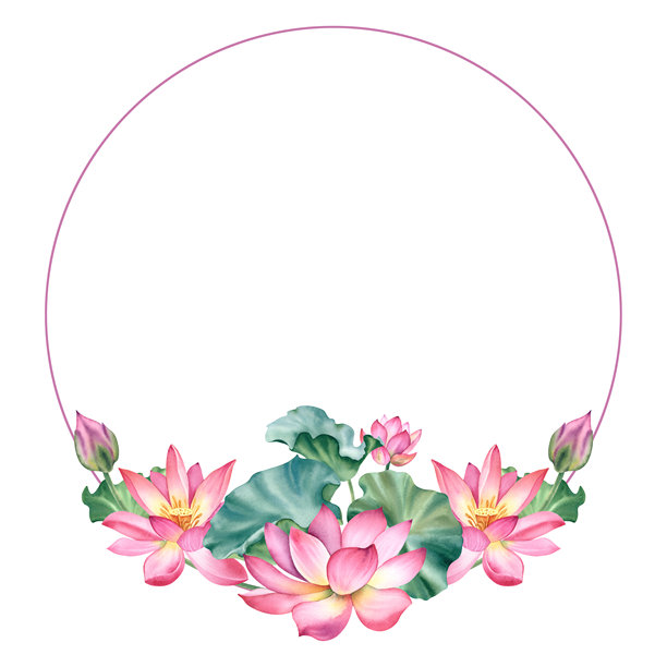 白色背景上的粉色水彩莲花。手绘的睡莲。莲花的构图。明信片设计的模板。适用于水疗沙龙和禅意设计的剪贴画素材包。图片下载