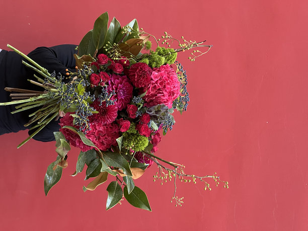 女人手持一束鲜花，包括大花球、玫瑰、达利亚和红黑色的木兰花，背景为深红色，竖版图片图片下载