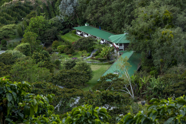 奇里基高地的咖啡农场和房屋 - 股票照片图片下载