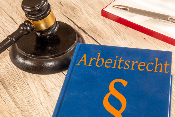 劳动法参考书与法官 gavel 标志图片图片下载