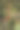 照片，灌木，山楂，灌木丛，树枝，季节性，浆果，药用，浆果，秋天，叶子，阳光，绿色，叶片，种子，红色，簇，众多，质地，自然，植物学，户外图片下载