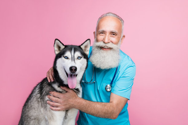 穿着蓝色制服、脖子上挂着听诊器的和蔼老医生与哈士奇犬在粉色背景下的全身照片图片下载