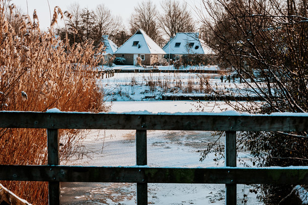 荷兰弗里斯兰省的伊尔内沃德村及其公园It Wiid的别墅照片图片下载