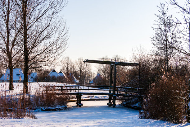 荷兰弗里斯兰省的伊尔尔内沃德村及其公园It Wiid的别墅照片图片下载