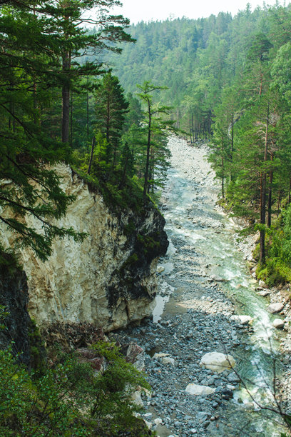 这张照片展示了一条快速流动的河流穿过岩石床的美丽景色，周围环绕着茂密的高大松树林。绿色植物主导了这片风景，树木和周围植被呈现出鲜艳的绿色。图片下载
