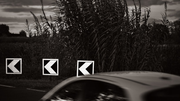 Car Passing Road Signs Against Tall Vegetation in Evening Scene图片下载