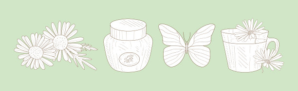 手绘素描风格有机食材和草药矢量素材图片下载