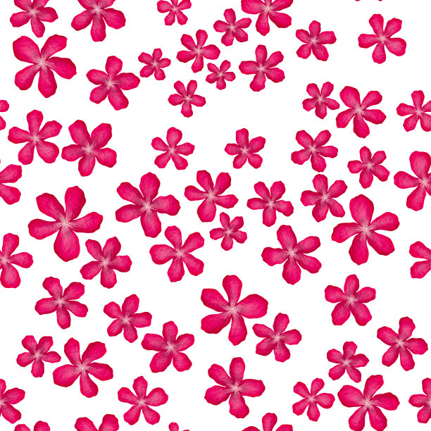 夹竹桃花水彩无缝图案，适用于女性和女孩服装设计、面料和纺织品。手绘植物插图。时尚印刷、剪贴簿和包装纸的花卉设计。图片下载