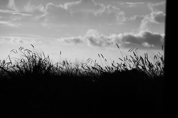 黎明时的云彩。自然风景背景素材。图片下载