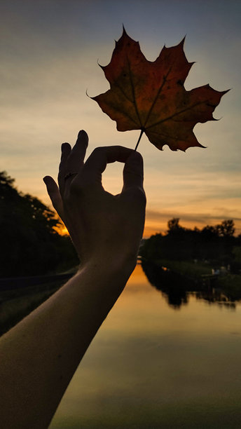 秋天在斯特罗莫夫卡公园，一位女性手持红色枫叶。竖版手机照片图片下载