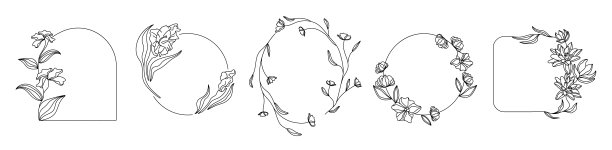 带有装饰的花卉相框，用于图片和照片。图片下载