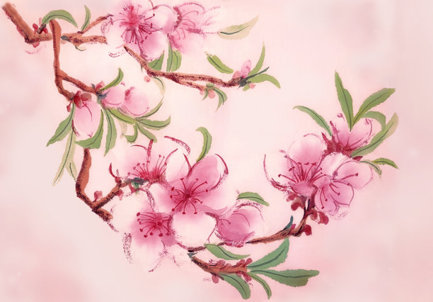 水墨粉色梅花图片下载