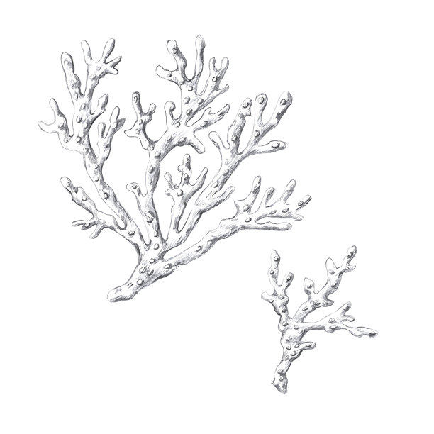 珊瑚，手绘铅笔画。用于鱼类餐厅设计、菜单、纺织品和海报的真实风格独立插图。图片下载