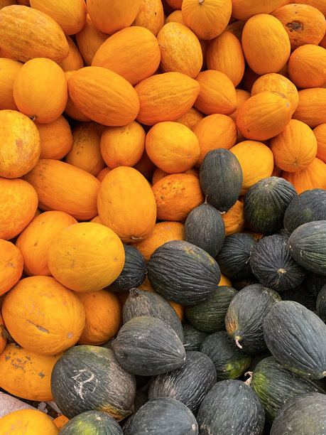 明亮的垂直西瓜照片背景图片下载