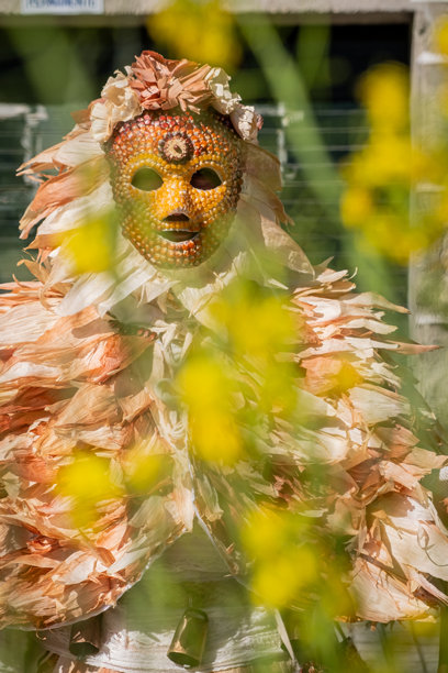 前景虚化的花朵与传统狂欢节面具照片图片下载