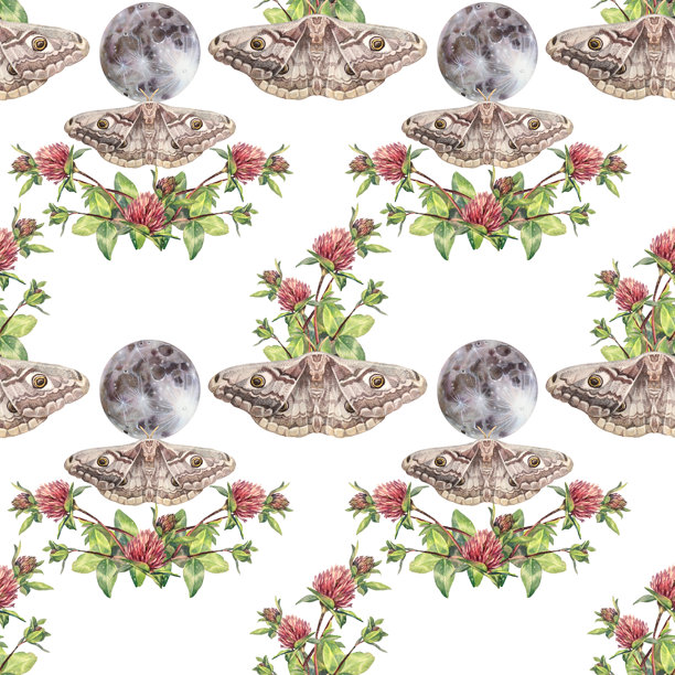 无缝图案，包含水彩魔法月亮、蛾子和三叶草花，背景为白色。手绘的夜晚月光和星星，适合用于贴纸或纺织品。波西米亚风格的天空装饰，适合用于包装或壁纸。图片下载