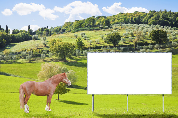 空白的商业广告牌置身于乡村场景中，旁边有一匹棕色马 - 图片留有空白空间图片下载