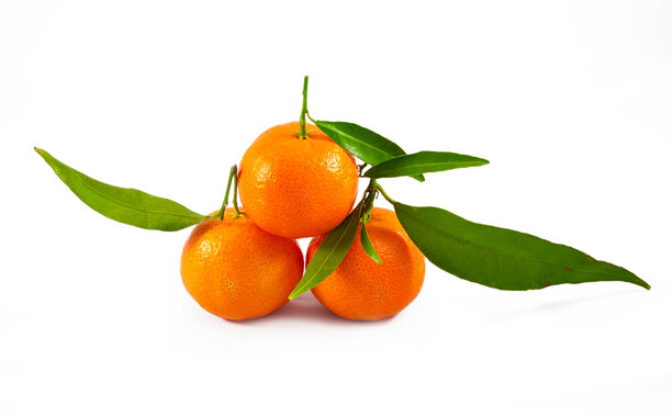 橘子工作室照片图片下载