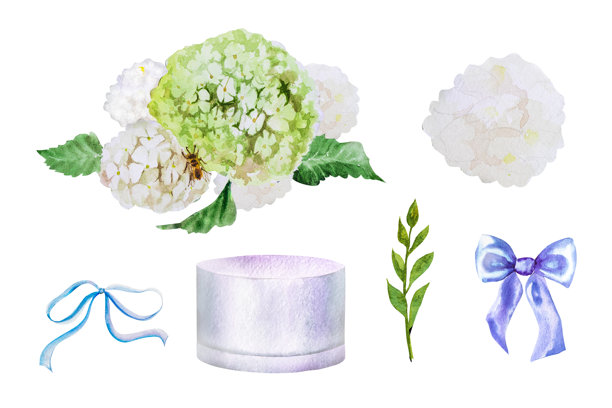 水彩插画：白色荚蒾树枝和花朵花束，以及盒子上的可爱蝴蝶结图片下载