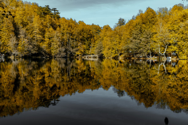 叶子沟的风景照片，秋天的色彩占主导。图片下载