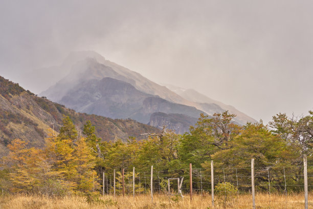 这张图片捕捉了阿根廷巴塔哥尼亚埃尔查尔滕附近山脉的雾气弥漫的山坡，秋天的树叶与崎岖的地形在云雾的掩映下交融。图片下载