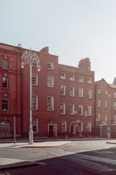 都柏林的红砖乔治亚建筑在柔和怀旧的光线中沐浴，这是一张竖版照片。复古效果增强了建筑的永恒感，街道上的装饰性路灯更添风情。图片下载