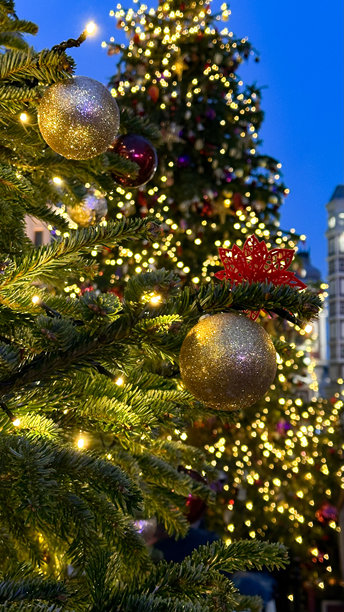 城市夜晚的圣诞树上闪烁着明亮的灯光、花环和装饰，手机拍摄的照片图片下载