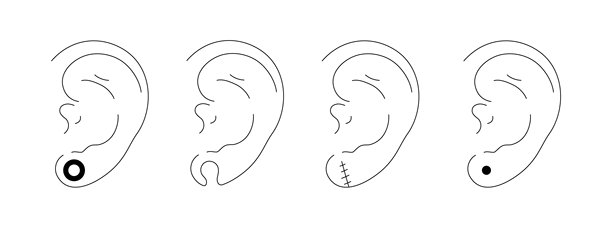 不同类型的耳朵穿孔。矢量信息图元素插图。国际穿孔日。线条艺术图片图片下载