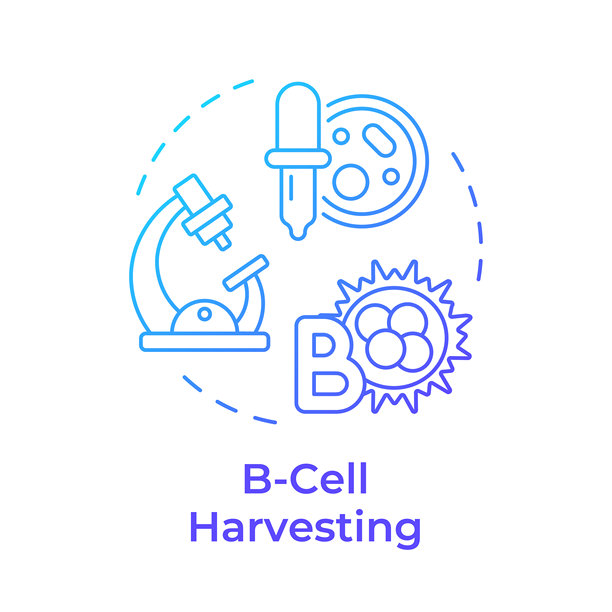B细胞收集蓝色渐变概念图标图片下载