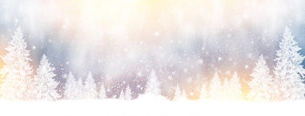 风格化照片。自然图案。风景。被雪覆盖的冰冻冬季森林。图片下载