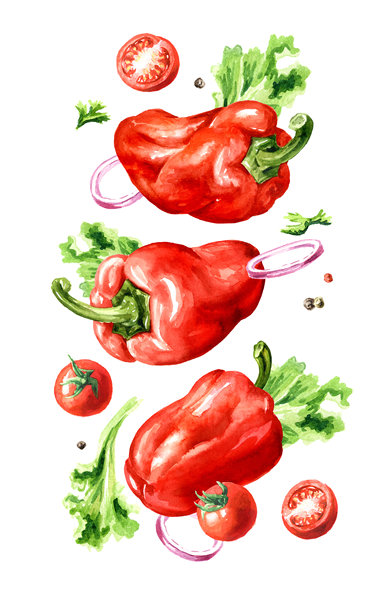 甜红椒与蔬菜和香草，水彩手绘插图，白色背景上独立展示图片下载