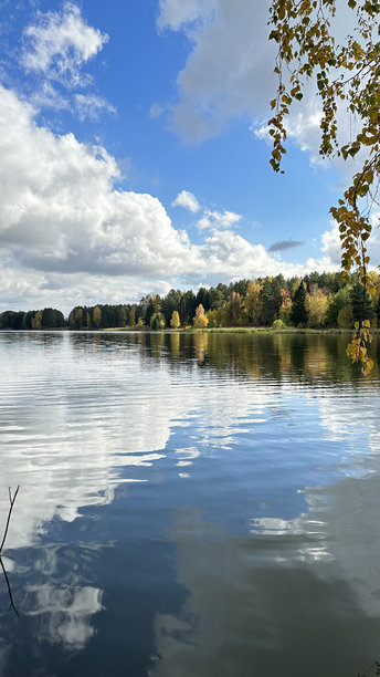 水面上方的桦树枝，云彩在水中倒映，阳光明媚的日子里，河岸上的秋季森林，手机拍摄的照片图片下载