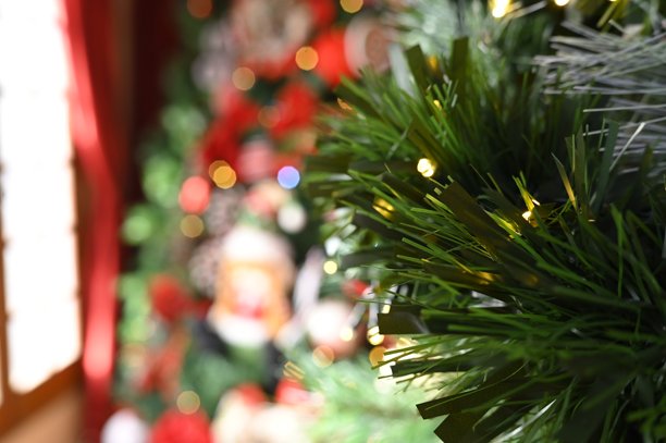 圣诞装饰布置，圣诞老人，鲜花，雪，礼物，模糊区域，节日礼物图片图片下载